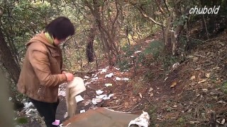 Chinese Daddy Forest 40