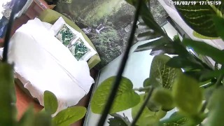 Chinese teen college couple meets in a motel