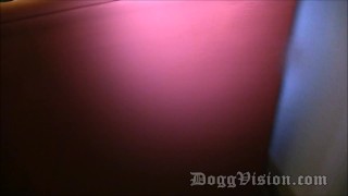 Foxy Kitty Loves Dark Chocolate