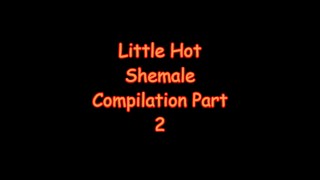 Little Hot Shemale Compilation Part 2