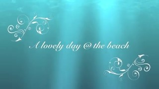 Beach flash n Van’d job