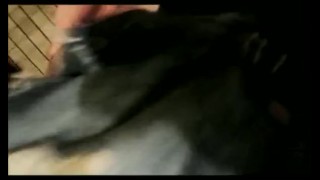 韩国女孩在厕所里被抠到高潮hot~