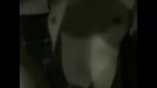 Korean Civilian ShinhanBank Female Employee