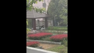 CHINESE重庆市第三中学