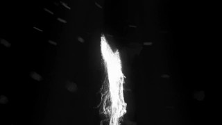 chinese lesbian sexfight catfight 2