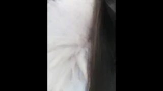 宅男撸管推荐高学历极品御姐诱人的大胸小蝴蝶逼一摸就出水