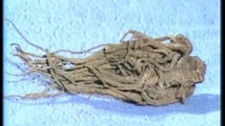 Chinese Sex Education Video: Treatment of Impotence and Prospermia