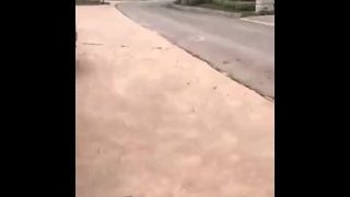 Chinese Exhibitionism