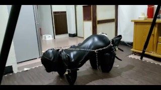 无数铜锁升级打造的人形犬，像极了母狗，电击片和遥控蛋蛋控制，很听话