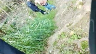 公园野餐聚会一根不够